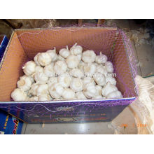 2014 Normal White Garlic 4.5 cm with loose packing